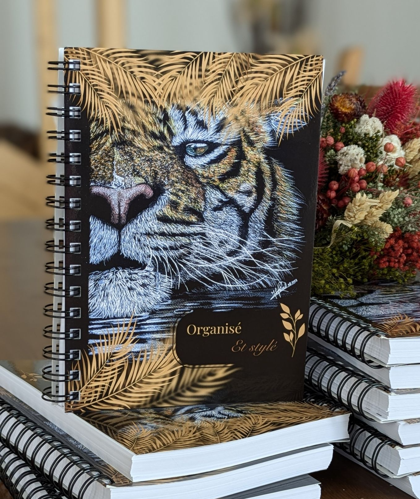 Edition - Couverture de brochure