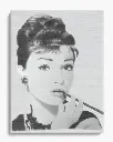 Audrey sur Toile2.webp